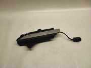 Türaußengriff vorne links