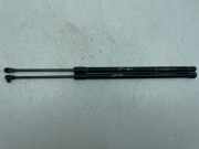 Heckklappe Gasdruckfeder links OPEL ANTARA 2.2 CDTi 4x4 95917169 05532220813