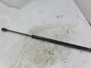 Heckklappendämpfer rechts Toyota Corolla Verso (R1)