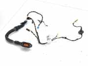 Türverkabelung hinten links MERCEDES-BENZ M (W164) ML 350 CDI 4-matic (164.125) 981578103