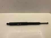 Heckklappe Gasdruckfeder links BMW 5 Touring (F11) 520 d 7207011