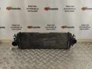 Ladeluftkühler Renault Trafic II Kasten (FL) 868926Q