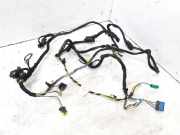 Kabelbaum CITROËN C3 Pluriel (HB_) 1.6 44349935