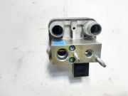 Luftentfeuchter der Klimaanlage PEUGEOT 208 II (UB_, UP_, UW_, UJ_) e-208 9831600480