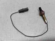 Andere Steuergeräte OPEL ASTRA F Hatchback (53_, 54_, 58_, 59_) 1.6 i