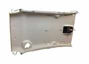 Dachverkleidung FORD GRAND C-MAX (DXA/CB7, DXA/CEU) 2.0 TDCi AV6T14335