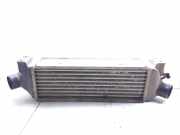Ladeluftkühler FORD TRANSIT Minibus / passenger (FD_ _, FB_ _, FS_ _, FZ_ _, FC_ _) 2.0 DI (F_E_, F_F_, F_G_) 2c119l440bb