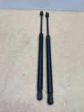 Heckklappe Gasdruckfeder links AUDI TT (8J3) 3.2 V6 quattro 2038YT0630N