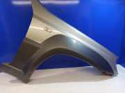 Kotflügel rechts vorne Hyundai Terracan (HP) 66320H1910