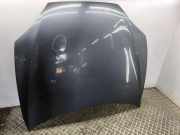 Motorhaube TESLA MODEL S 60