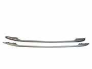 Dachreling links Peugeot 407 SW ()