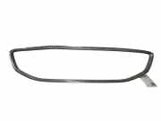 Stoßstangenzierleiste vorne links