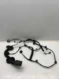 Kabel Tür vorne rechts RENAULT MEGANE IV (B9A/M_) 1.5 dCi 110 (B9A3) 241257828R