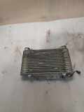 Ladeluftkühler HYUNDAI GALLOPER II (JK-01) 2.5 TD intercooler HR140200A