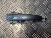 Türaußengriff hinten links