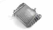 Ladeluftkühler SKODA ROOMSTER (5J) 1.9 TDI 6q0145804a