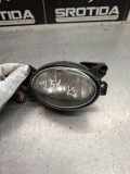 Nebelscheinwerfer links MERCEDES-BENZ R (W251, V251) R 280 CDI 4-matic (251.020) A1698201556