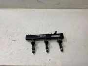 KRAFTSTOFFVERTEILER EINSPRITZLEISTE VERTEILERROHR FORD FIESTA VII 1.0 EcoBoost H1BG9H487AA