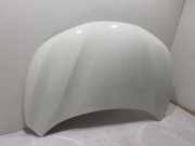 Motorhaube Nissan Qashqai II (J11) 51004EAMA