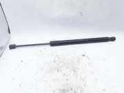 Heckklappe Gasdruckfeder rechts OPEL MERIVA B 1.4 LPG 315005777