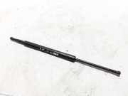 Heckklappe Gasdruckfeder links NISSAN PATHFINDER III (R51) 2.5 dCi 4WD 90451EB31B