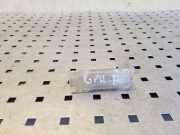 Innenleuchte BMW X5 (E53) 63316963194