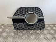 Gitter vorne unten BMW X6 (E71, E72) xDrive 30 d 7188384