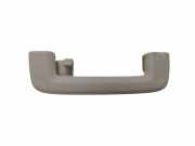 Griff Panoramadach Ford Focus III Turnier (DYB)