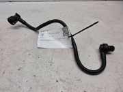 KRAFTSTOFFVERTEILER EINSPRITZLEISTE VERTEILERROHR RENAULT LAGUNA II Grandtour (KG0/1_) 1.9 dCi (KG0G) 1234
