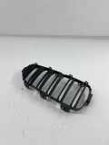 Gitter Grill vorne rechts BMW 4 Coupe (F32, F82) M4 8054332