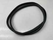 Türdichtung Renault Megane III Schrägheck (BZ)