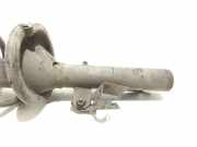 Stoßdämpfersatz Vorderachse Ford Transit Custom V362 Kasten (FY, FZ)