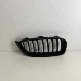 Gitter Grill vorne rechts BMW 4 Coupe (F32, F82) 435 d xDrive 7294616 7294621