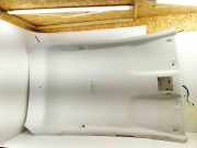 Verkleidung Dachrahmen Ford Fiesta VII (HJ, HF) 202033094554