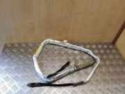 SRS Modul Dach links BMW 5 (E39) 530 d 84700000904G