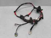 Türverkabelung hinten links HYUNDAI SONATA V (NF) 2.0 CRDi 916503K021
