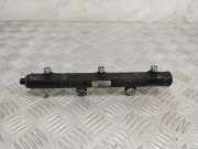 Einspritzleiste Land Rover Range Rover Sport (L320) 4R8Q9D280BC