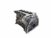 Motorblock BMW 1 (E87) 118 d N47D20A