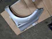 Kotflügel vorne links HYUNDAI i20 (PB, PBT) 1.2