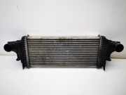 Ladeluftkühler Mercedes-Benz R-Klasse (W251)