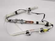 Dach SRS rechts FORD FOCUS III 2.0 TDCi 1B6291600 BV6T-14K155-ABC