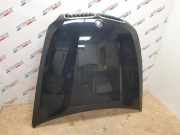 Motorhaube BMW X5 (E70) xDrive 30 d 41617486754 7468754
