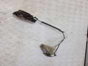 Türschloss rechts vorne Peugeot 5008 I ()