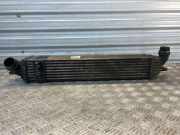 Ladeluftkühler RENAULT LAGUNA III Grandtour (KT0/1) 2.0 dCi (KT01, KT08, KT0K, KT0J, KT1A, KT1D) M4925005 0010148