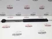 Heckklappe Gasdruckfeder links RENAULT MEGANE II (BM0/1_, CM0/1_) 1.5 dCi (BM0F, CM0F) 8200051750