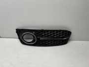 Gitter vorne unten AUDI A4 Avant (8K5, B8) 1.8 TFSI 8KD807681