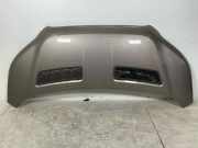 Motorhaube FORD TRANSIT 2.0 TDCi 2485550