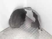 Innenkotflügel vorne rechts FORD FOCUS C-MAX 1.8