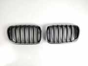 Vorderer oberer Gitter BMW X3 (F25) xDrive 20 d 5117210726