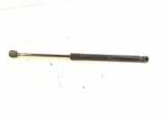 Heckklappe Gasdruckfeder links MERCEDES-BENZ A (W169) A 180 CDI (169.007, 169.307) 1697400045 1697400345